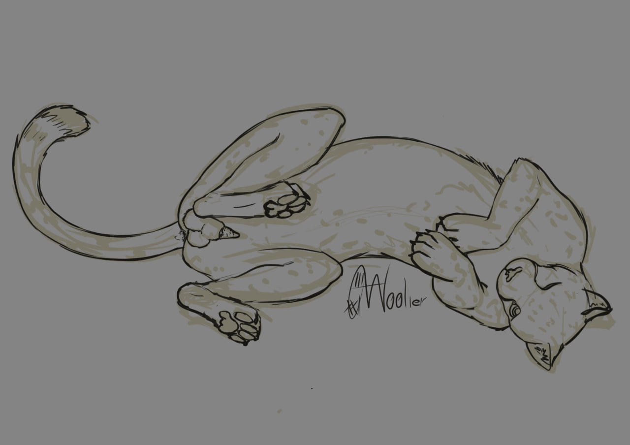 Anatomically Correct Rule 34 Image