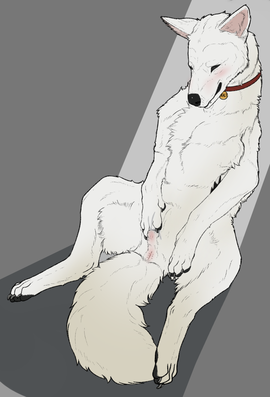 Bolt (Bolt) Rule 34 Image