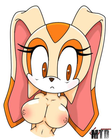Cream The Rabbit (Sega) Rule 34 Image