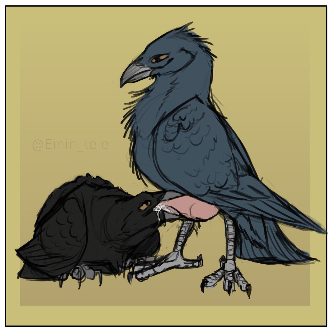 Corvus (Genus) Rule 34 Image