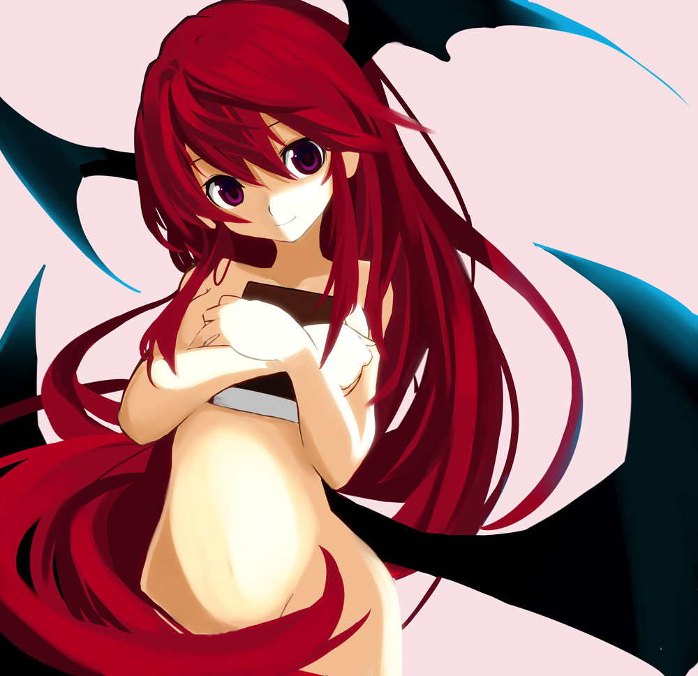 Koakuma (The Embodiment Of Scarlet Devil) Rule 34 Image