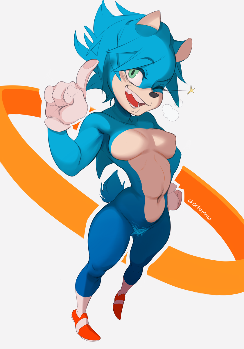 Sonic The Hedgehog (Sega) Rule 34 Image