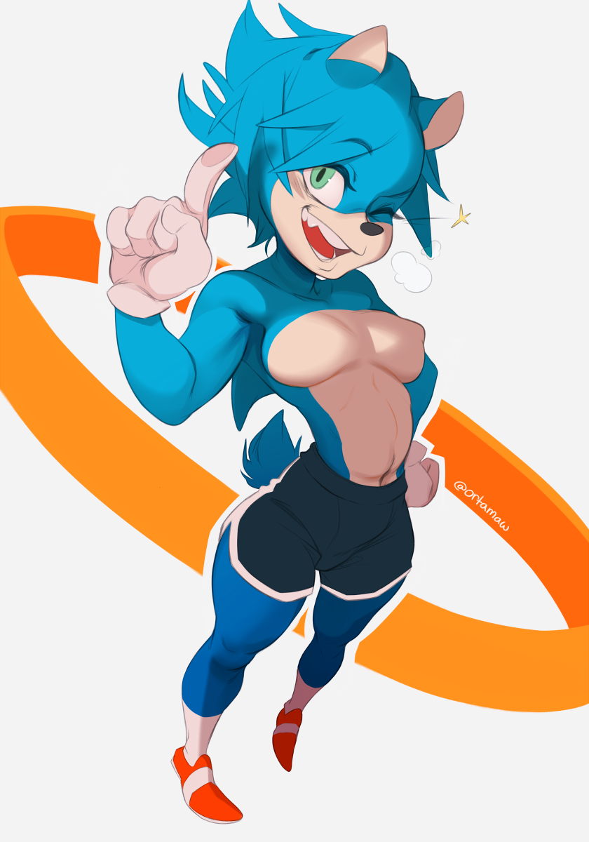 Sonic The Hedgehog (Sega) Rule 34 Image