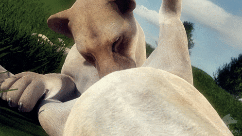 Digital Media (Artwork) Rule 34 Image