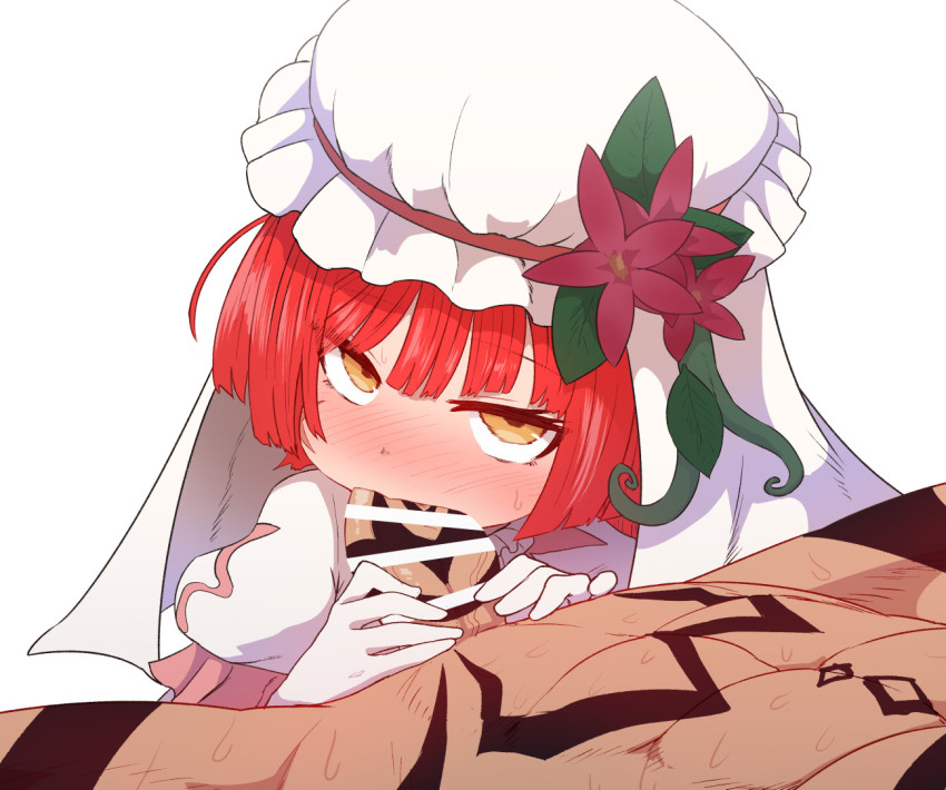 Zepar (Megido72) Rule 34 Image