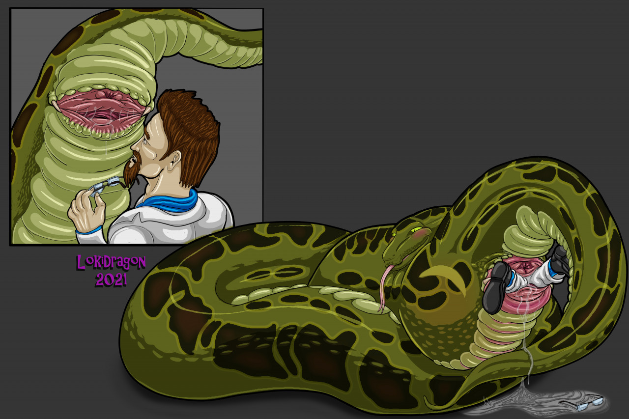 Boa (Snake) Rule 34 Image