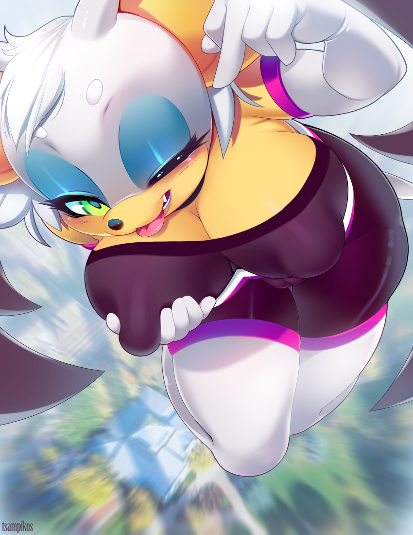 Rouge The Bat (Sonic (Series)) Rule 34 Image