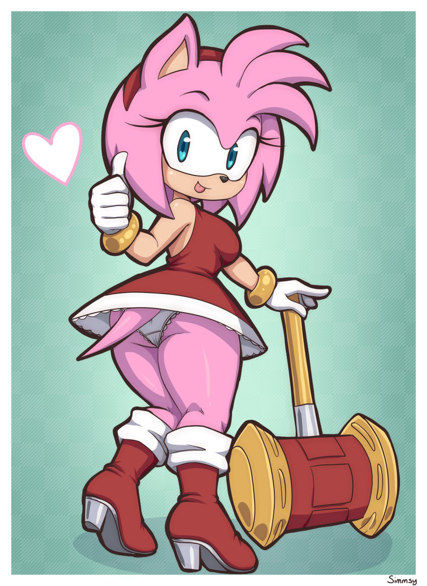 Amy Rose (Sonic (Series)) Rule 34 Image