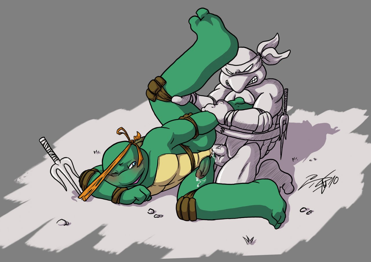 Michelangelo (4kids Entertainment) Rule 34 Image