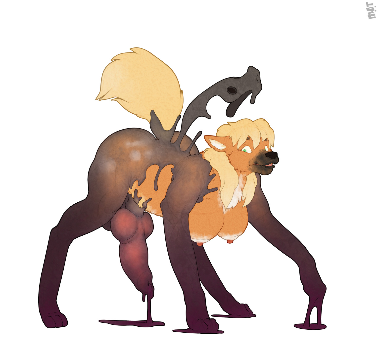 4 Legs Rule 34 Image