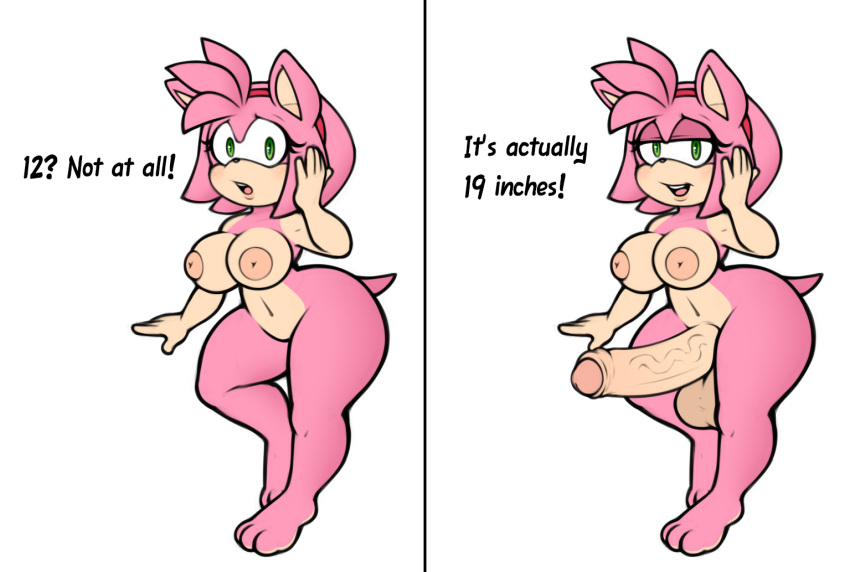 Amy Rose (Sega) Rule 34 Image