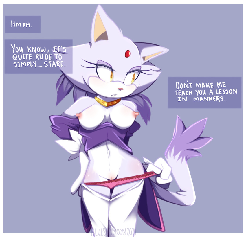Blaze The Cat (Sonic (Series)) Rule 34 Image