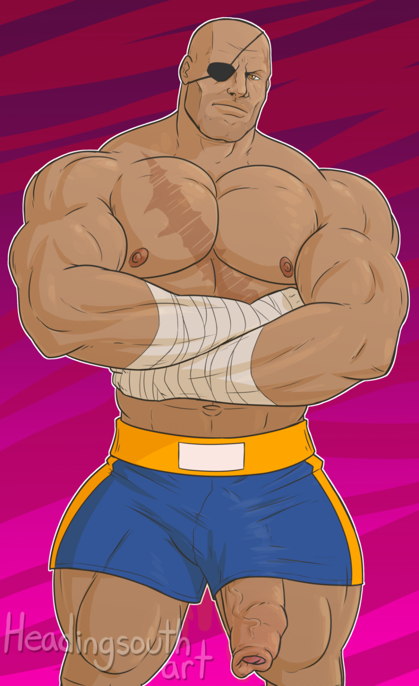 Sagat (Street Fighter) Rule 34 Image