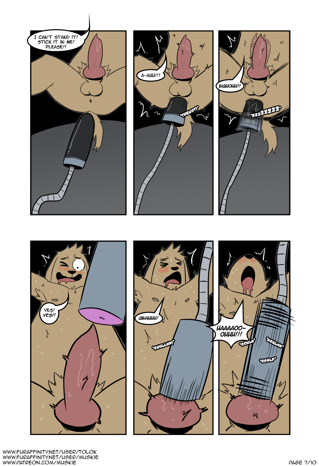 Animal Genitalia Rule 34 Image