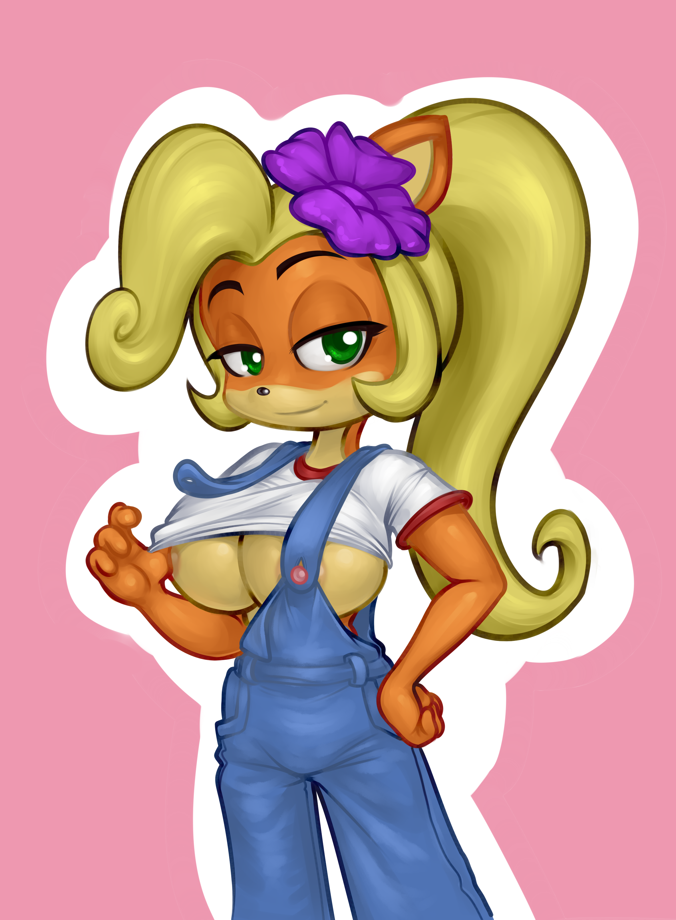 Coco Bandicoot (Crash (Series)) Rule 34 Image