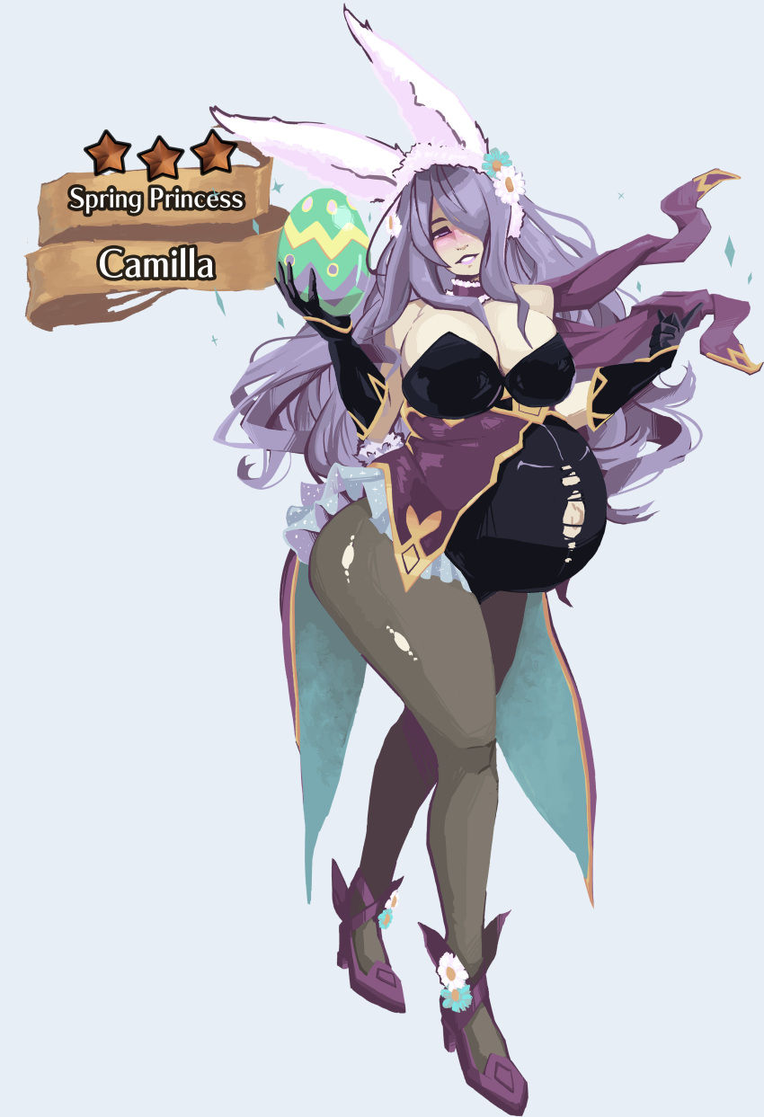 Camilla (Fire Emblem) Rule 34 Image