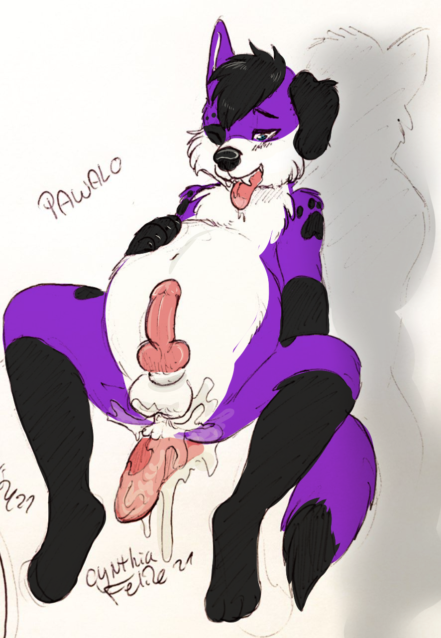 Pawalo Rule 34 Image