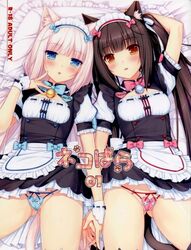 Chocola (Sayori) Rule 34 Image