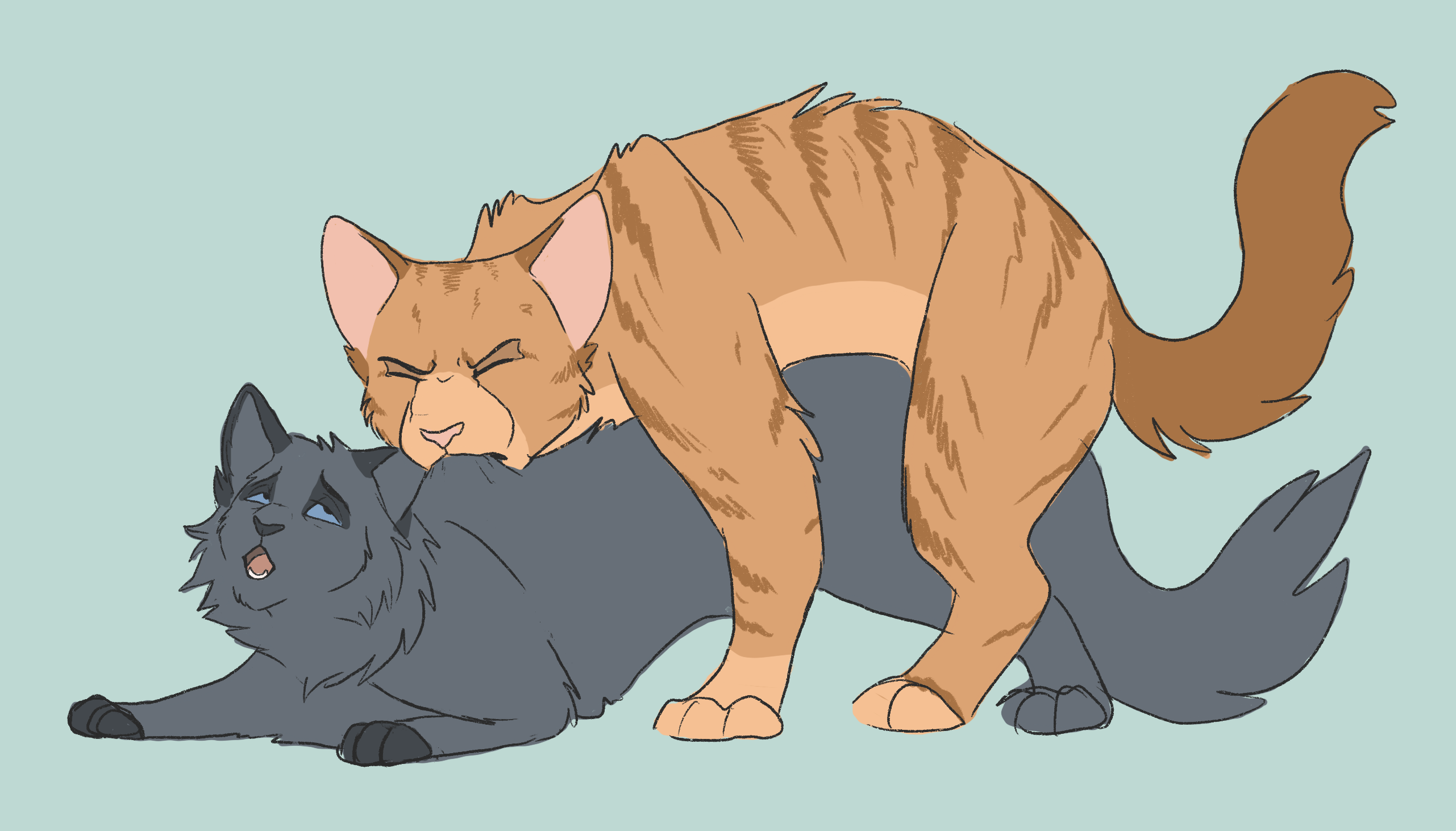 Cinderpelt (Warriors) Rule 34 Image
