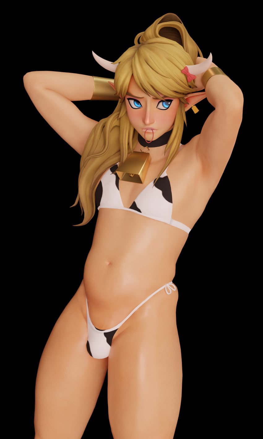 Link (Hyrule Warriors) Rule 34 Image