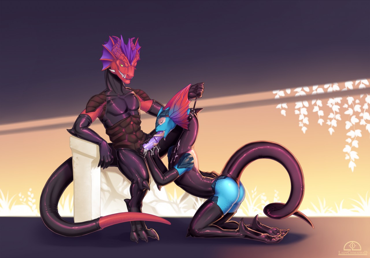 Divinity: Original Sin 2 Rule 34 Image