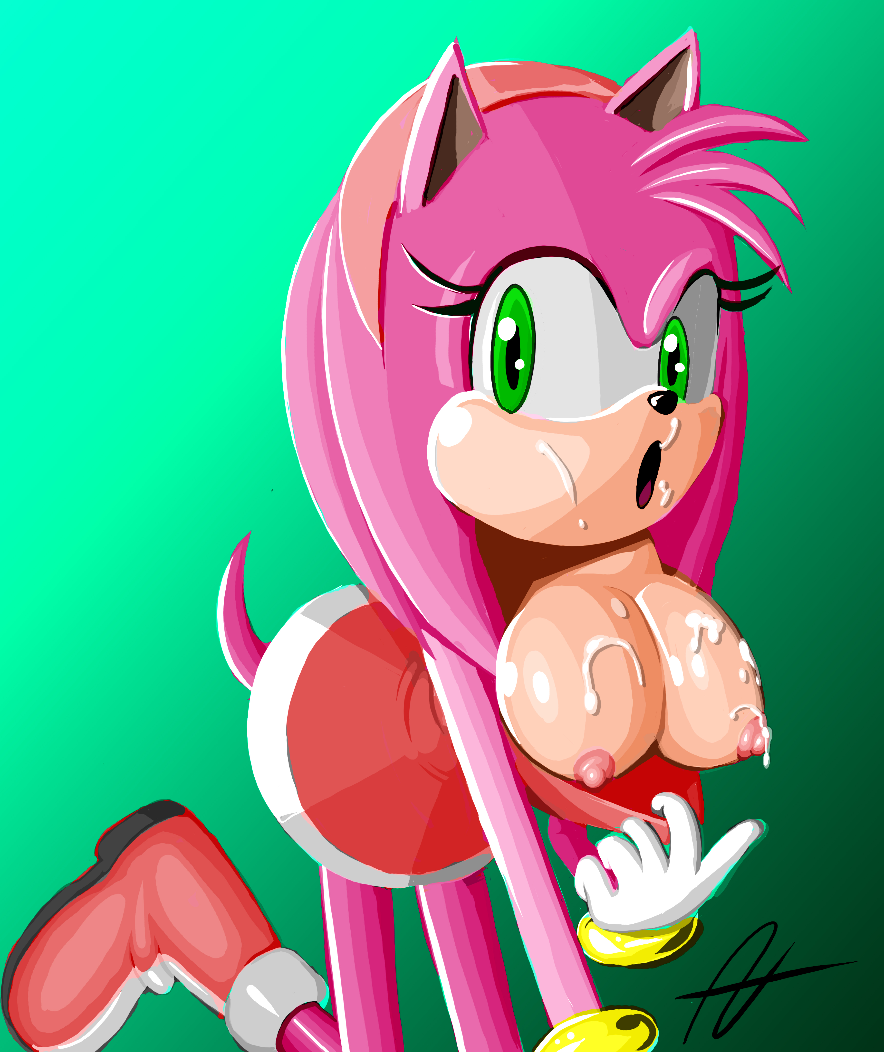 Amy Rose (Sonic (Series)) Rule 34 Image