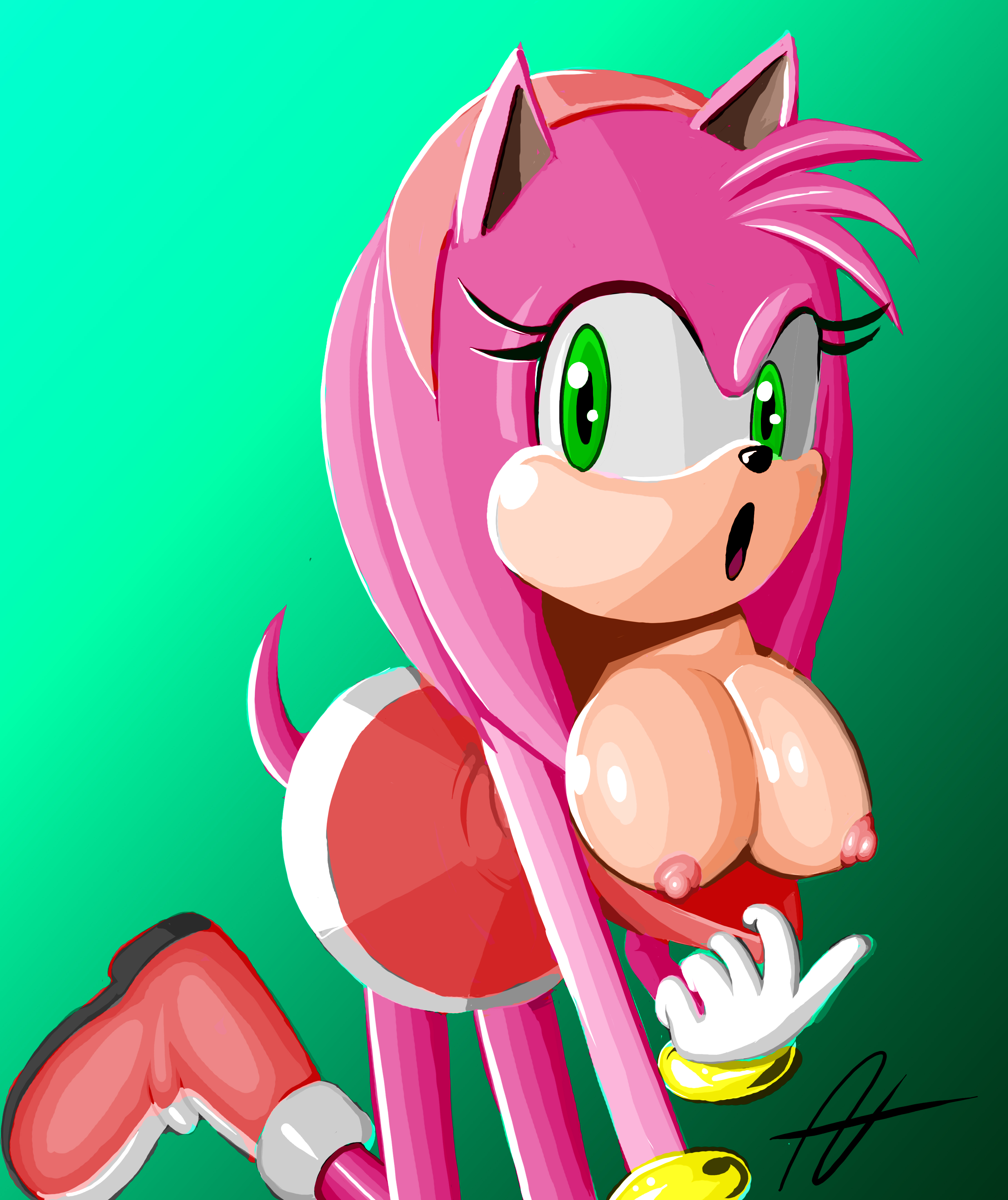 Amy Rose (Sonic (Series)) Rule 34 Image