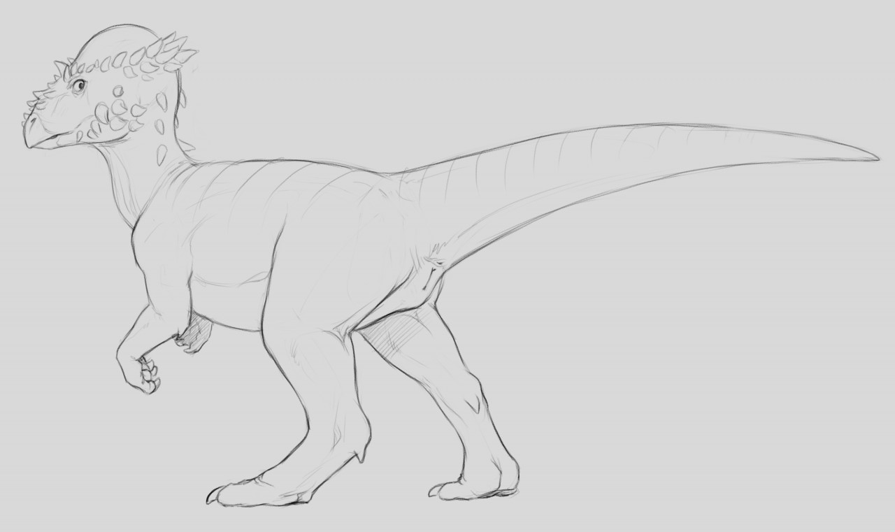 Spikes (Anatomy) Rule 34 Image
