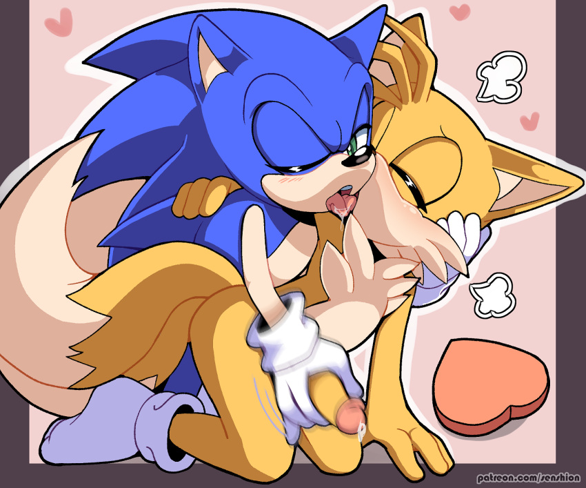 Sonic (Series) Rule 34 Image