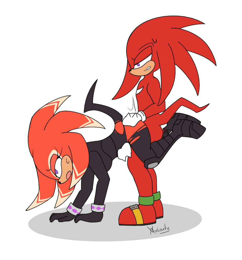 Knuckles The Echidna (Sonic (Series)) Rule 34 Image