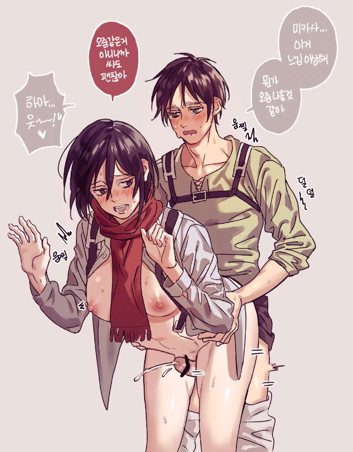 Eren Jaeger (Attack On Titan) Rule 34 Image