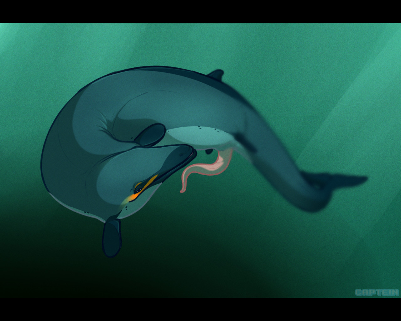 5:4 Rule 34 Image