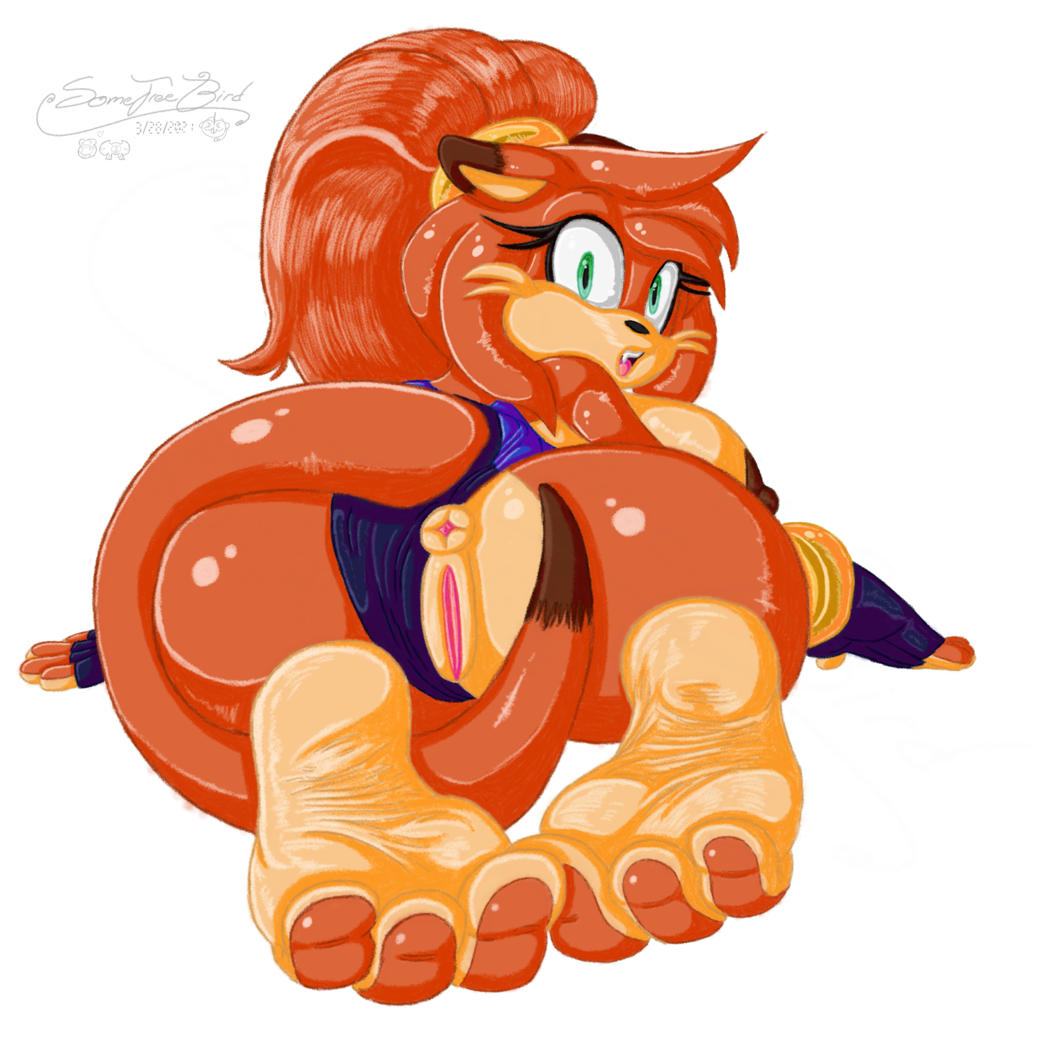 Fan Character (Sega) Rule 34 Image