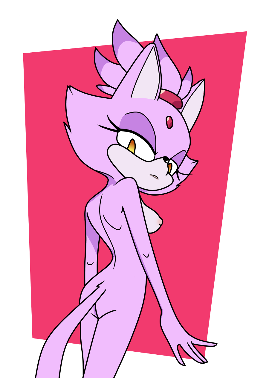 Blaze The Cat (Sonic (Series)) Rule 34 Image