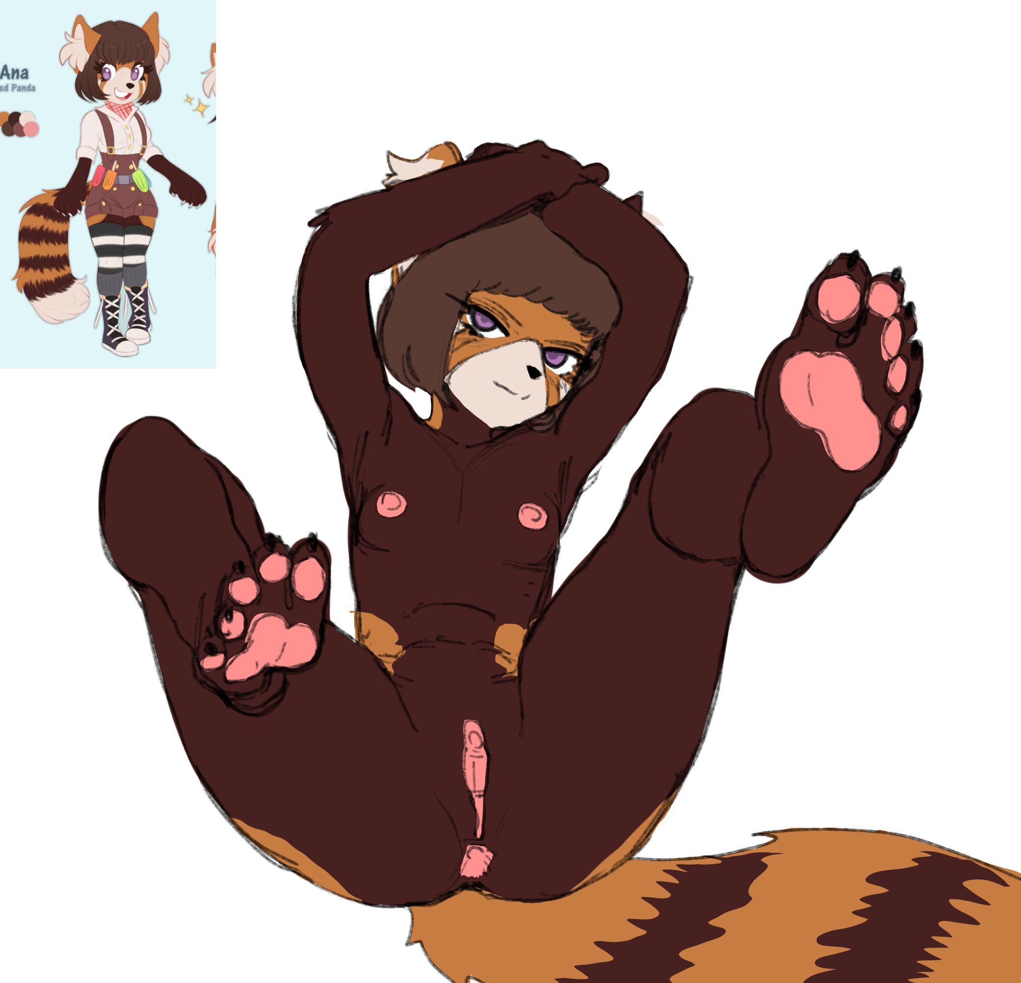 Anus Rule 34 Image