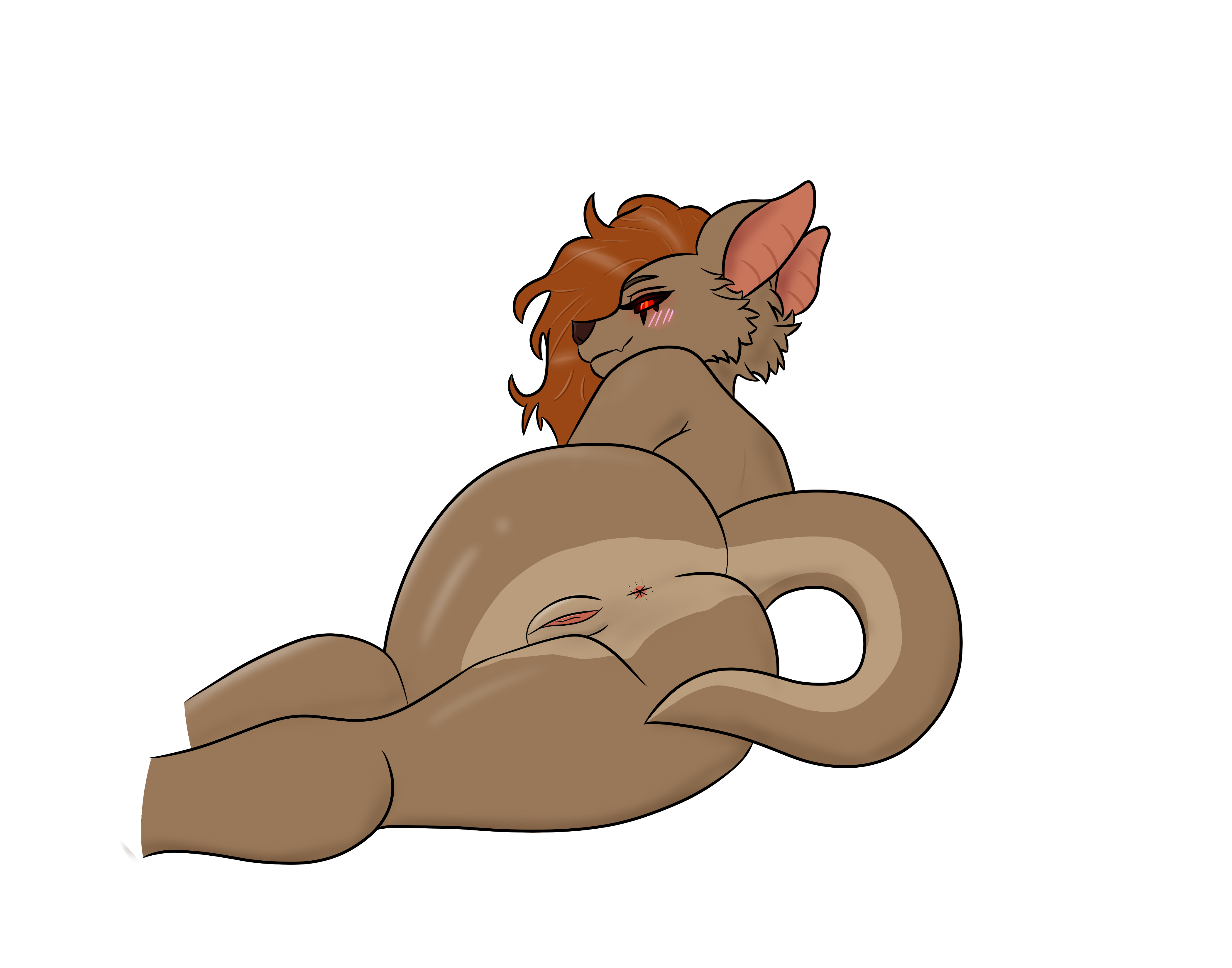 Auburn (Auburnbat) Rule 34 Image