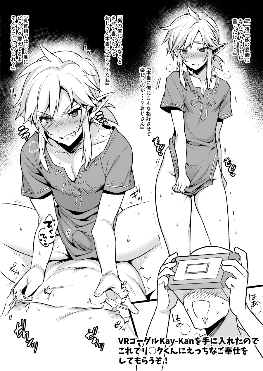 Link (Nintendo) Rule 34 Image