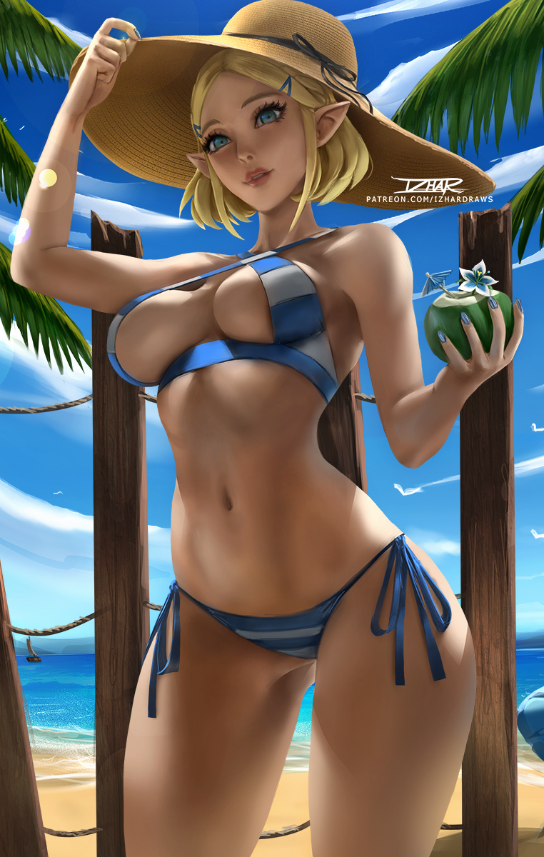 Princess Zelda (Breath Of The Wild) Rule 34 Image