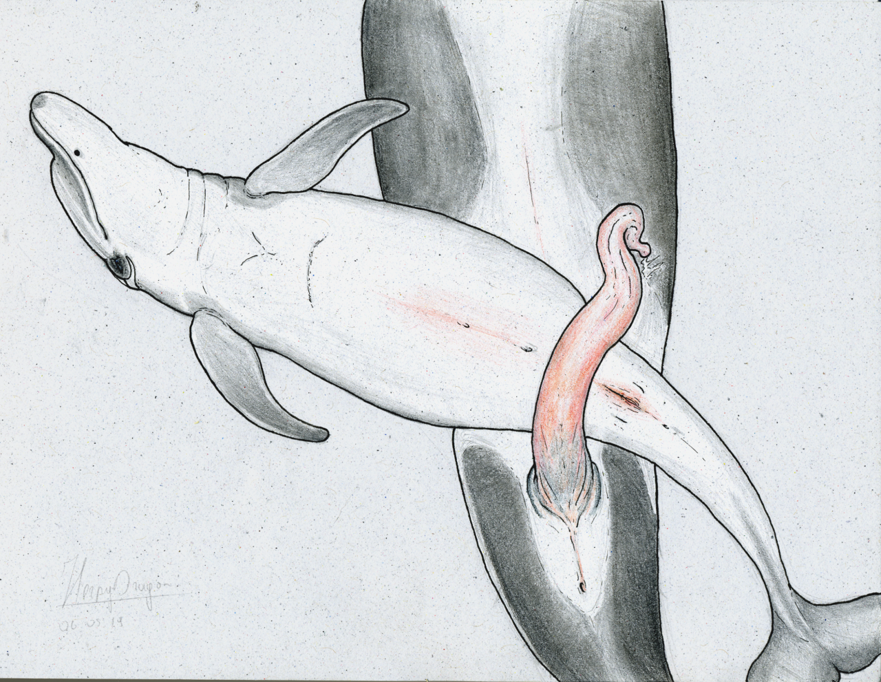 Traditional Media (Artwork) Rule 34 Image
