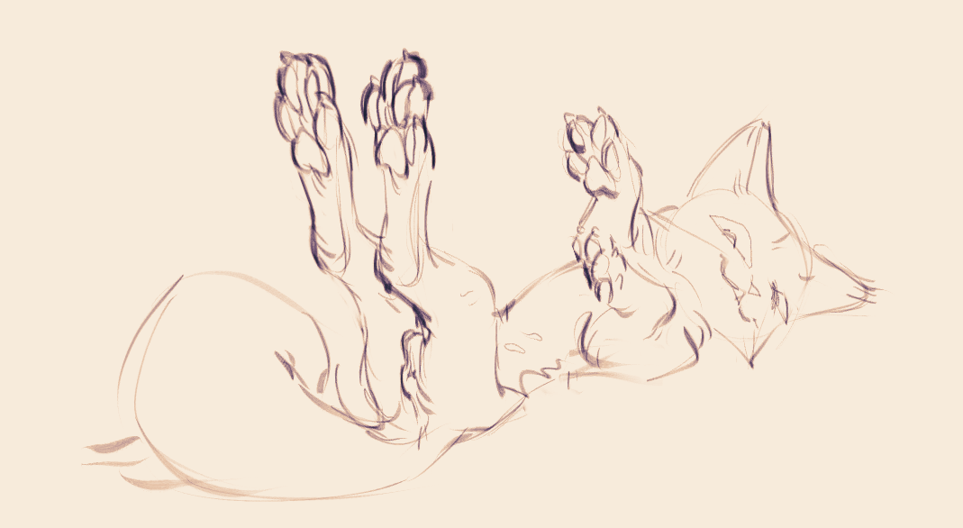 Animal Genitalia Rule 34 Image
