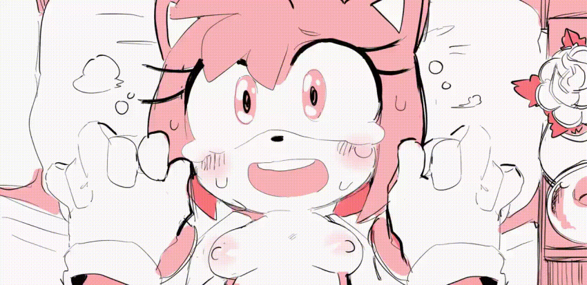 Amy Rose (Sega) Rule 34 Image