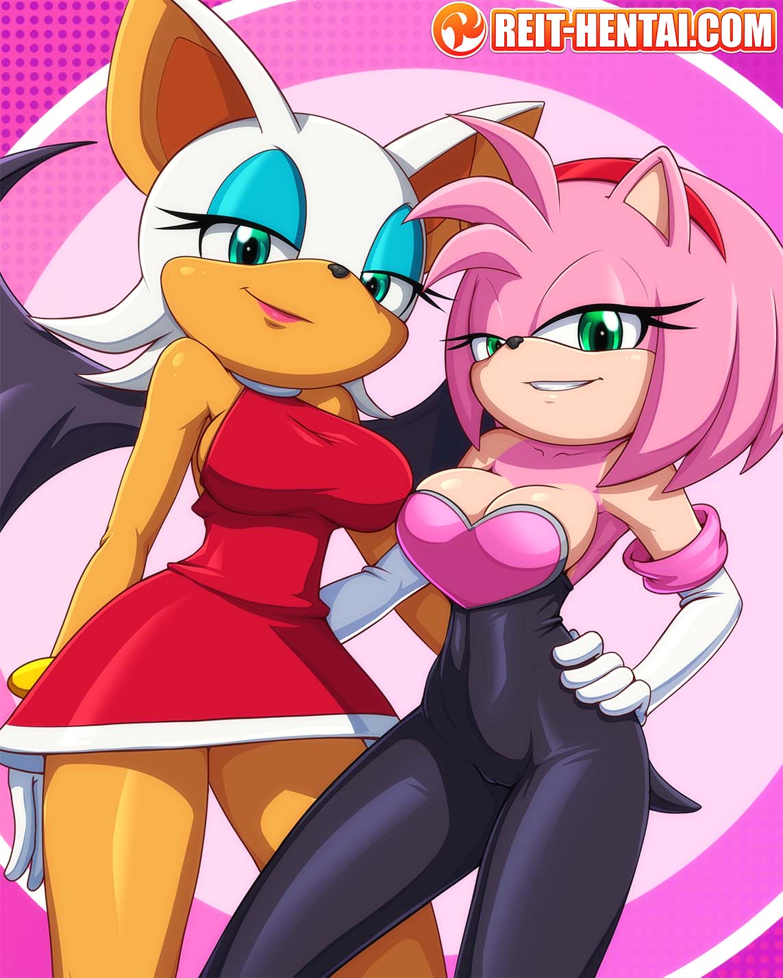 Amy Rose (Sonic (Series)) Rule 34 Image