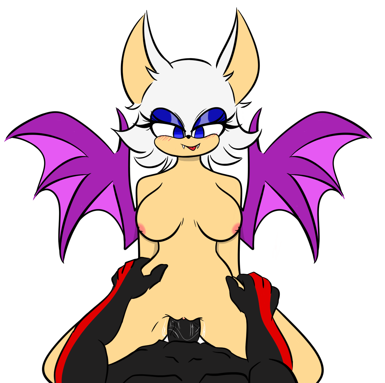 Rouge The Bat (Sonic (Series)) Rule 34 Image