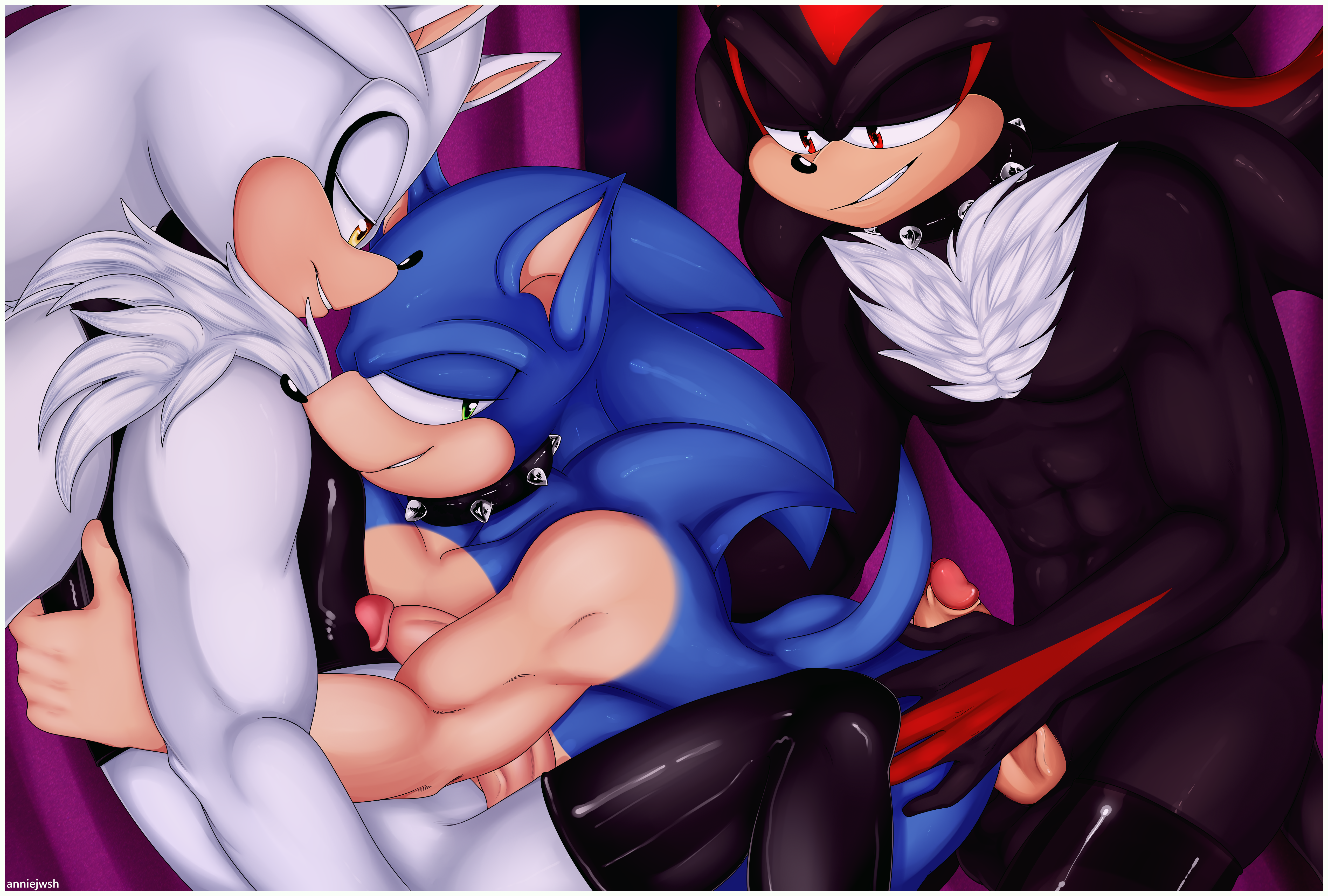 Sonic (Series) Rule 34 Image