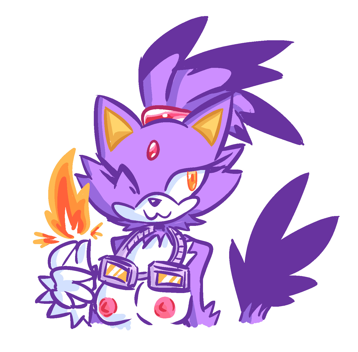 Blaze The Cat (Sonic (Series)) Rule 34 Image