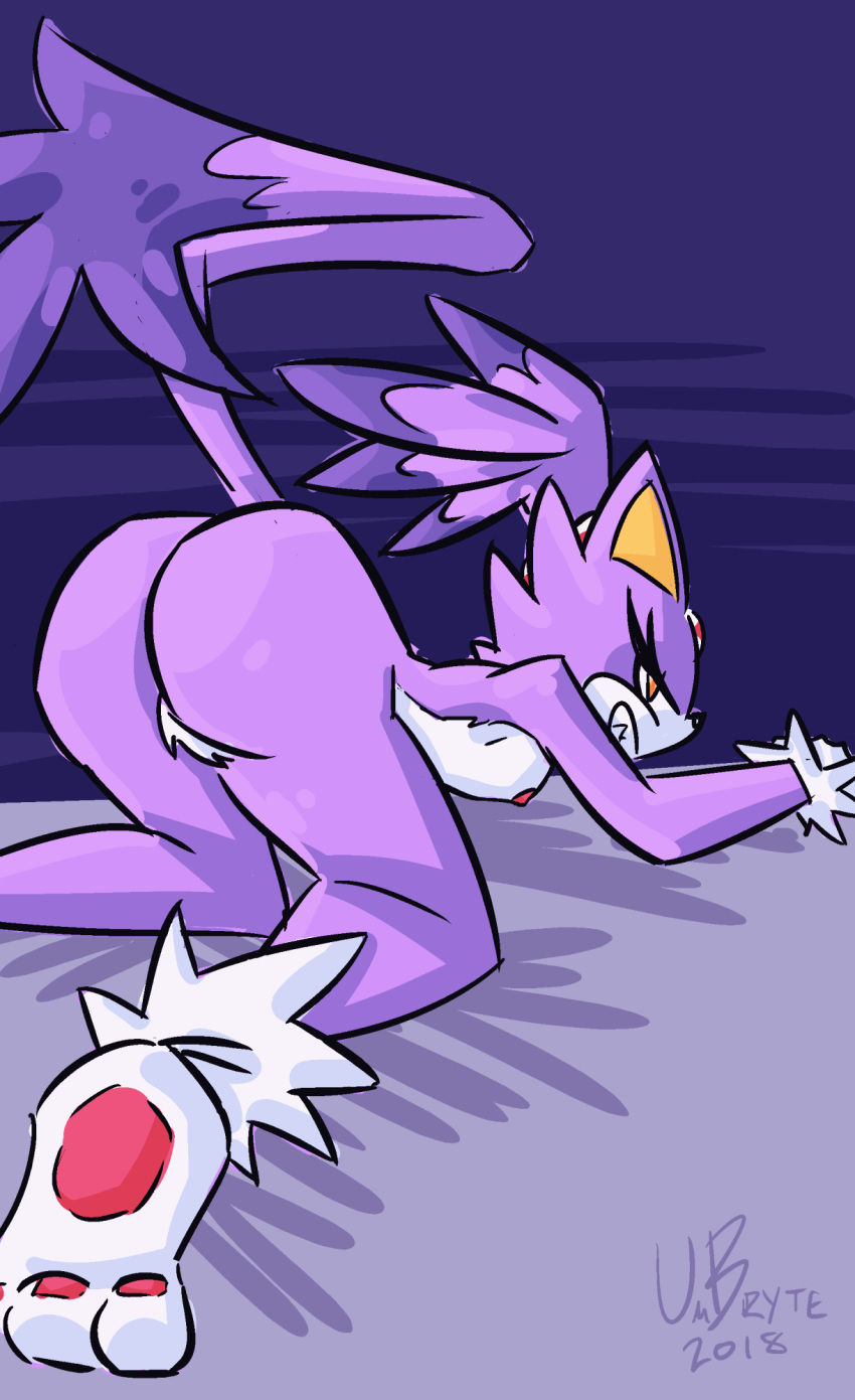 Blaze The Cat (Sega) Rule 34 Image