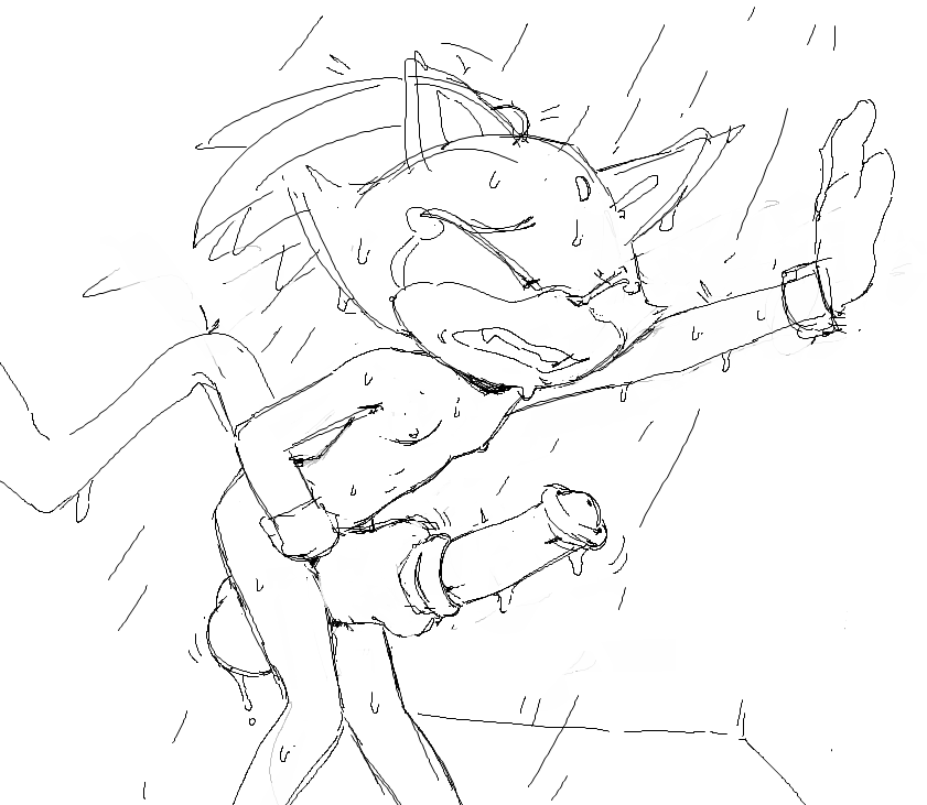 Blaze The Cat (Sega) Rule 34 Image