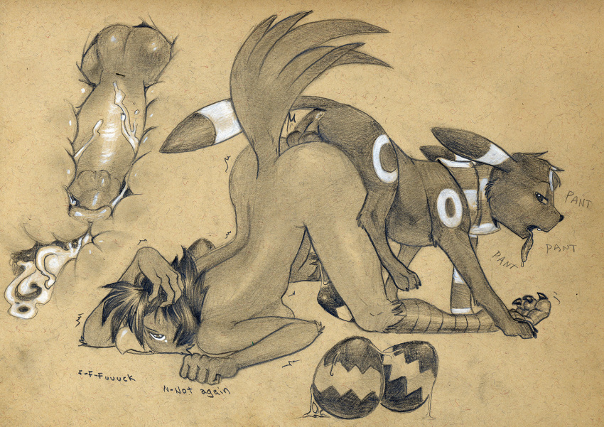 Eeveelution (Nintendo) Rule 34 Image