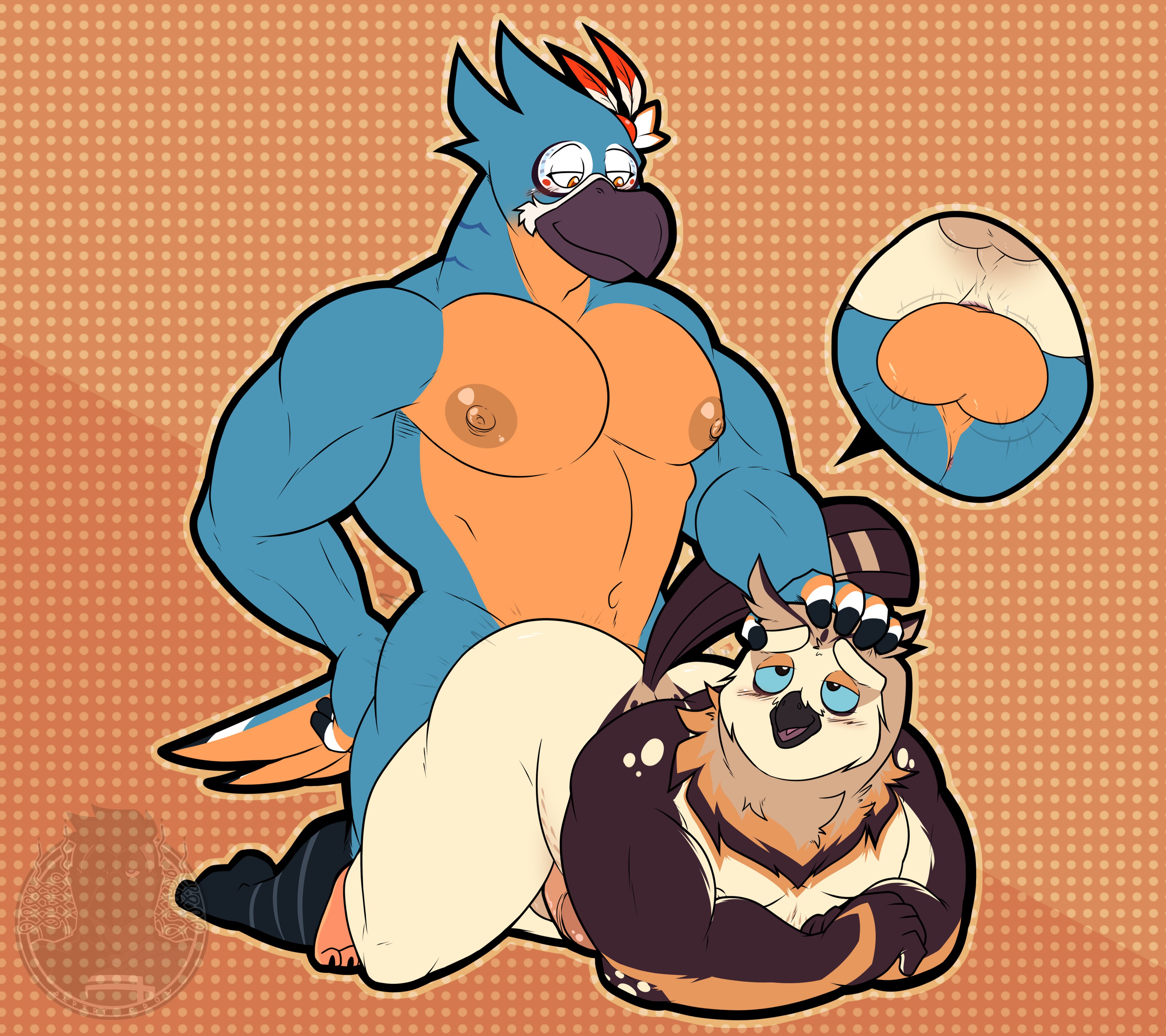 Kass (Zelda) Rule 34 Image