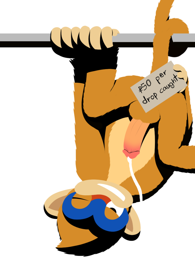 Monferno (Nintendo) Rule 34 Image